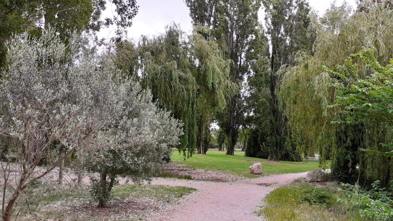 Studio 24 M2 - Hameaux De Camargue - Village 9 - 13200 Arles Luaran gambar